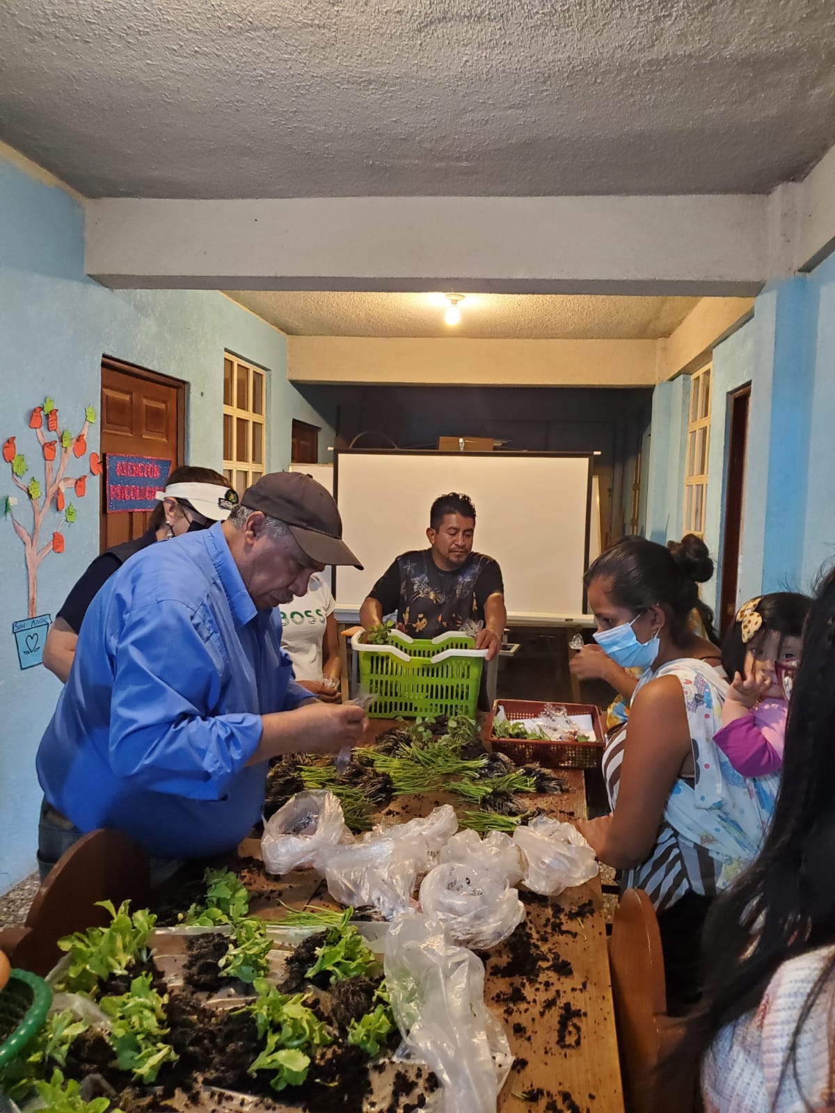 Promueven Huertos Familiares Para Fortalecer La Seguridad Alimentaria Y