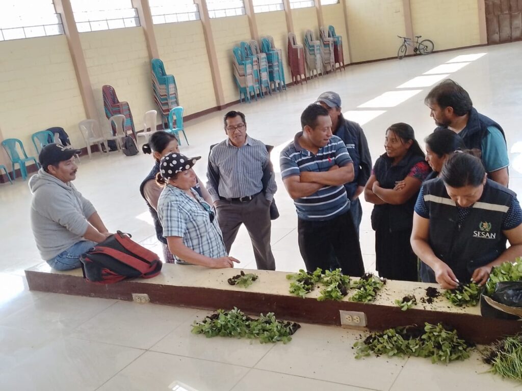 Promueven Huertos Familiares Para Fortalecer La Seguridad Alimentaria Y