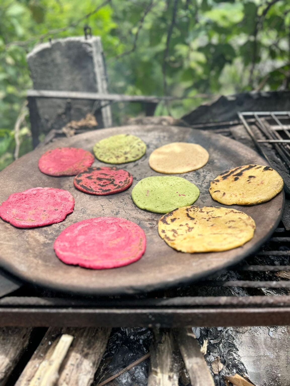 Tortillas de colores un nutritivo arcoíris con sabor guatemalteco